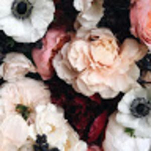 Meet your Posher, Summer